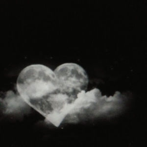 Meet your Posher, Anya